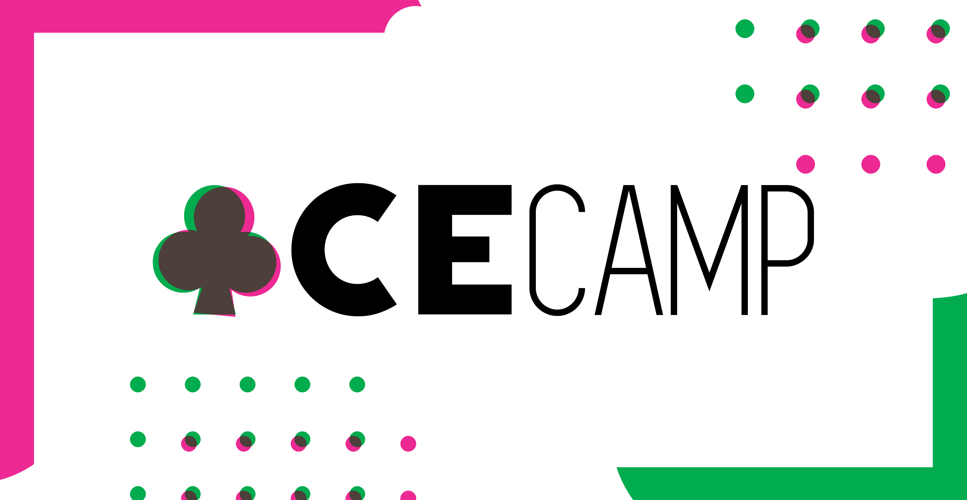 ace camp