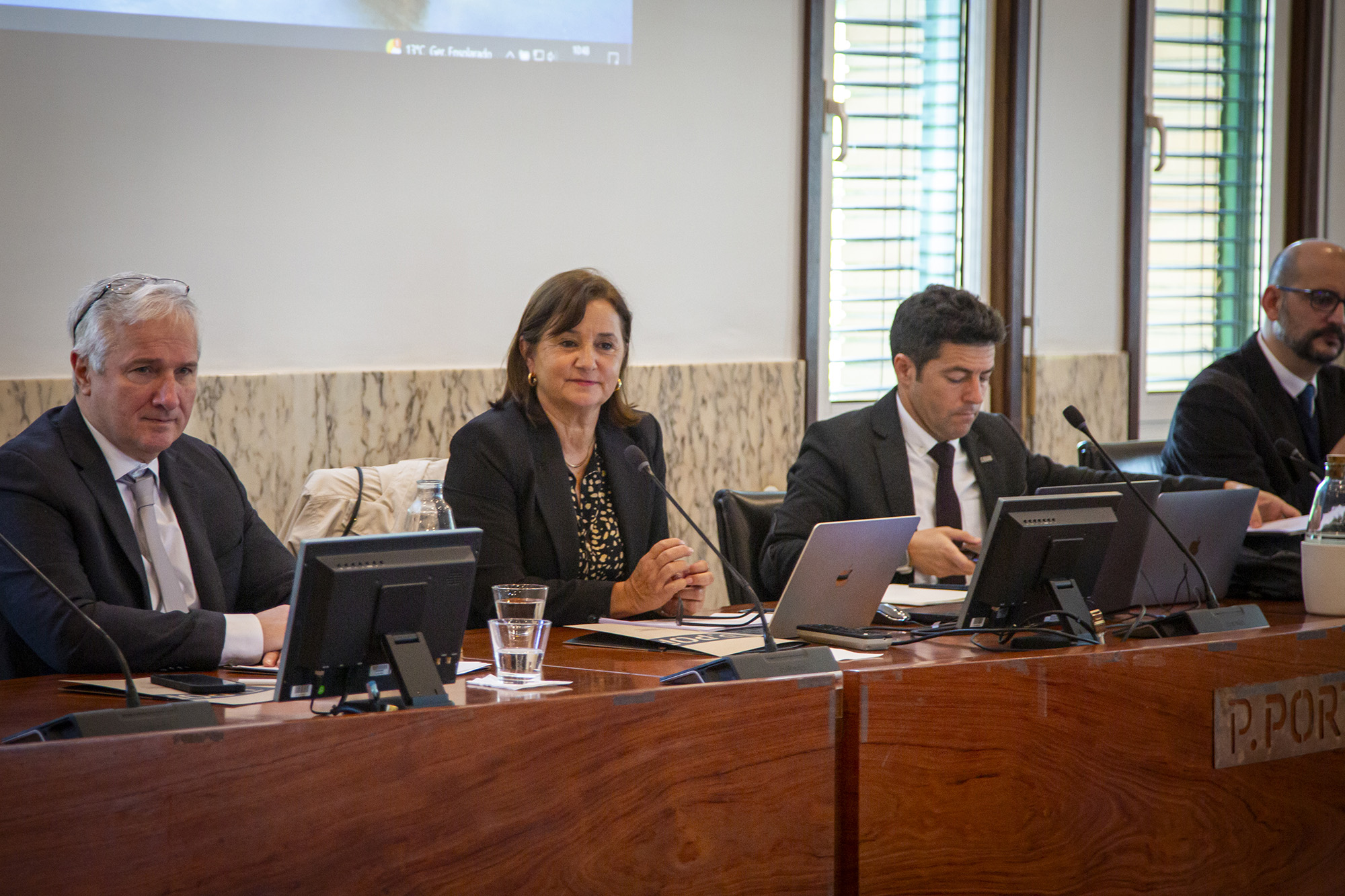 Presidente do CCISP Maria José Fernandes