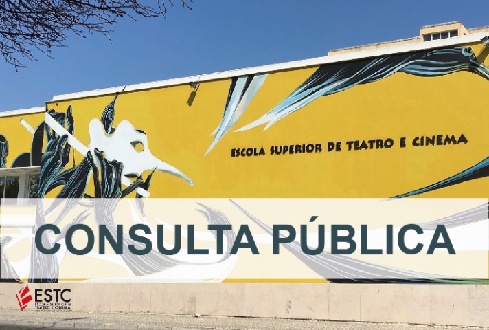 consulta-03-03.jpg