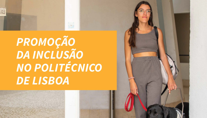 webinar promoção da inclusão no IPL
