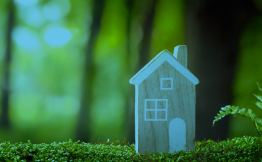 foto com floresta e casa a ilustrar o ambiente