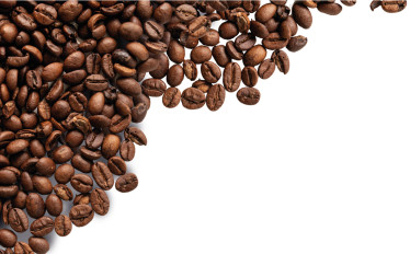 Seminário "Projeção internacional da marca Delta Cafés"