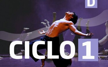 Ciclo 1 - ESD