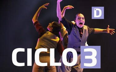 ciclo 3