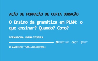 Capa O Ensino da gramática em PLNM: o que ensinar? Quando? Como?