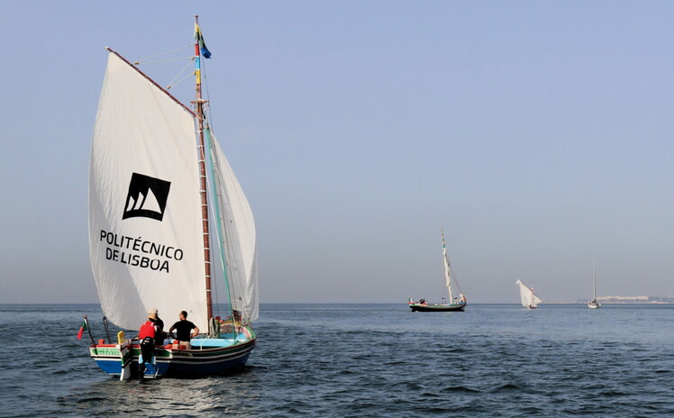 Canoa UPL no Tejo